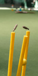 Wickets